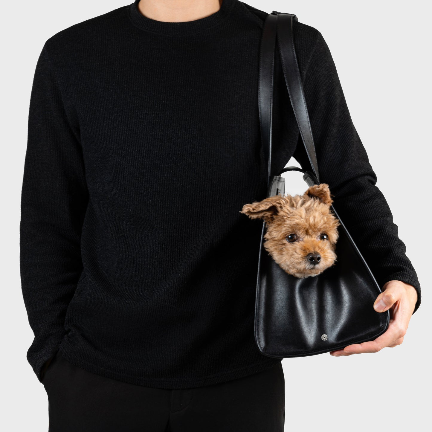 Person carrying a Companion Tote Bag with a small dog inside.