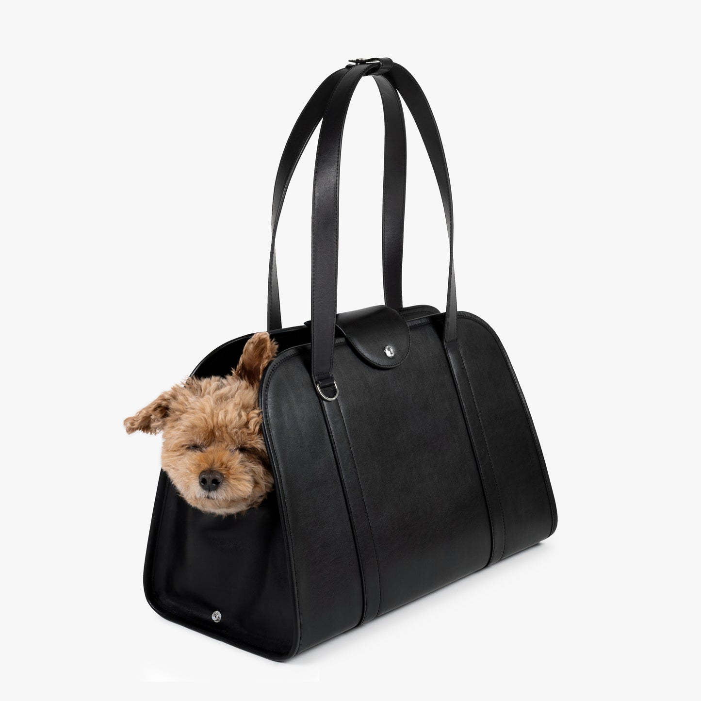 Small dog sleeping comfortably inside a Companion Tote Bag.