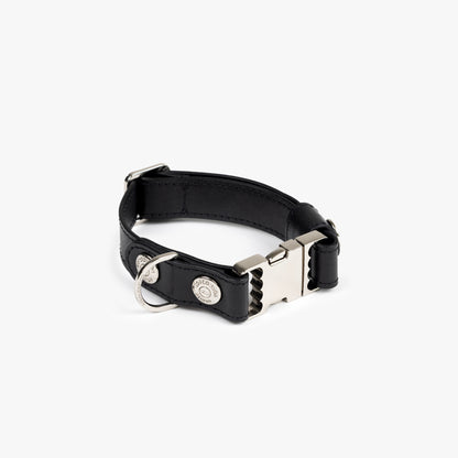 Modern, eco-friendly, and stylish dog collar made with recycled leather.